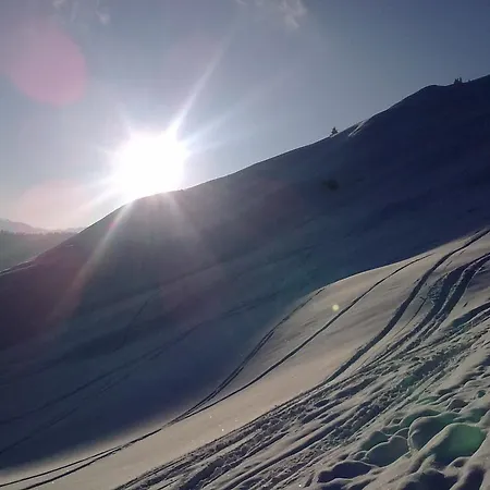 Anzengruber Saint Wolfgang