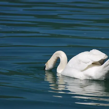 Anzengruber 호텔 3*