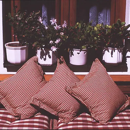 호텔 Anzengruber 3*