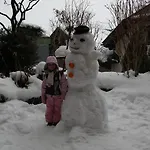 Anzengruber מלון Saint Wolfgang