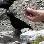 Anzengruber מלון 3*