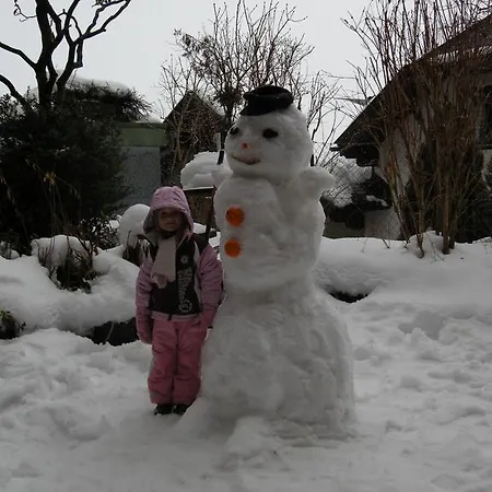 Anzengruber Hotel Saint Wolfgang