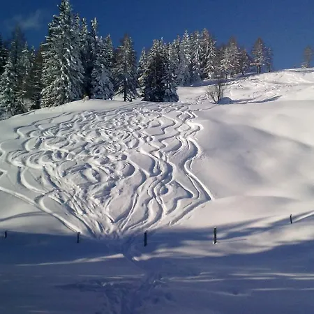 Anzengruber Hotel 3*