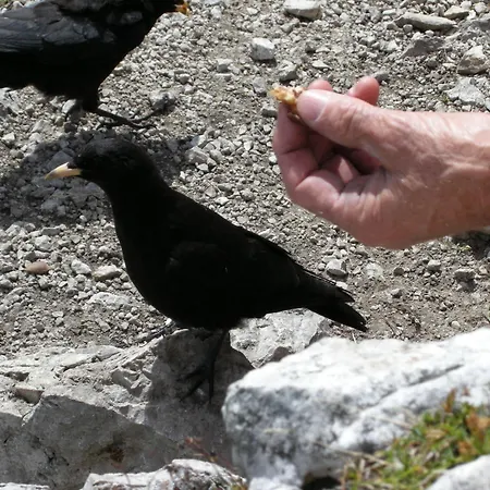 Anzengruber Hotel 3*