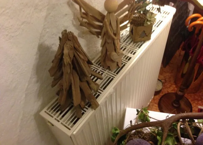 Anzengruber Hotell Saint Wolfgang