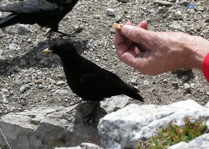 Anzengruber Hotell 3*